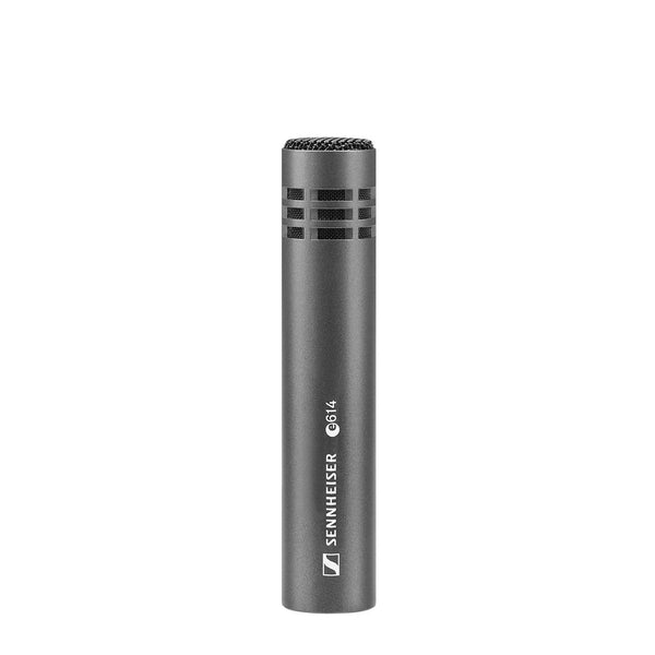 Sennheiser e 825-S (004511)