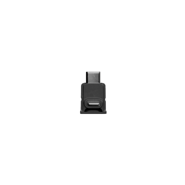 Sennheiser PROFILE WIRELESS USB-C ADPT (700275)